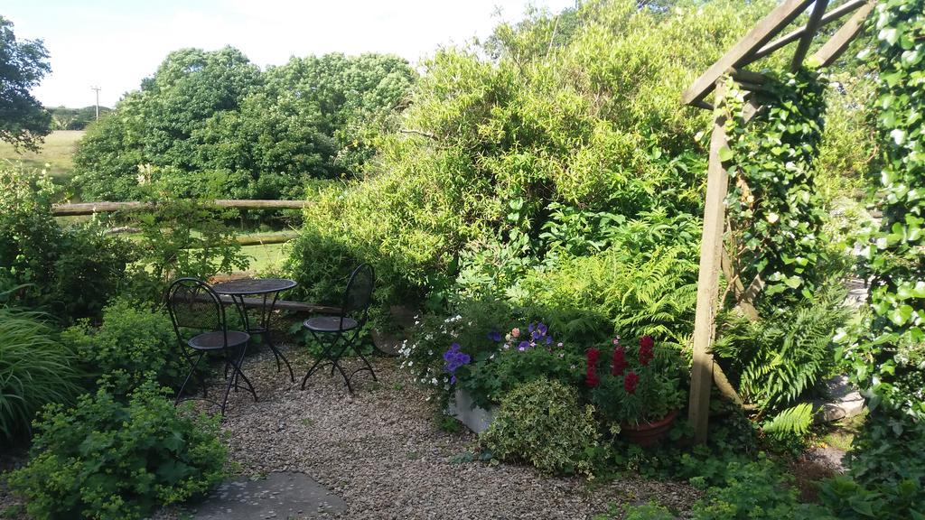 Rectory Farm Bed and Breakfast Haverfordwest Εξωτερικό φωτογραφία