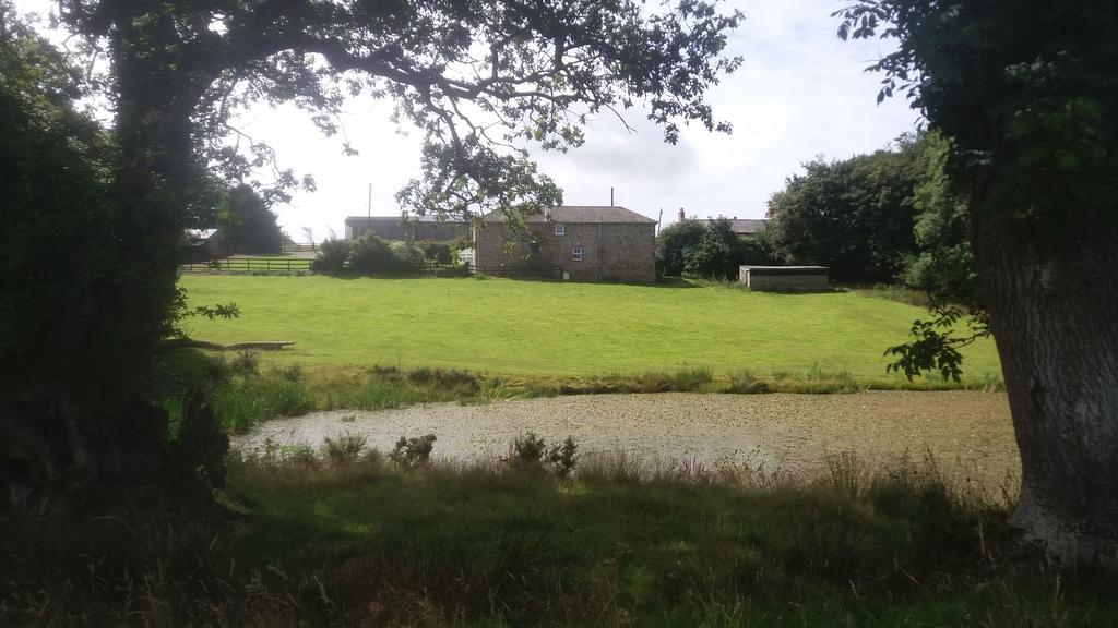 Rectory Farm Bed and Breakfast Haverfordwest Εξωτερικό φωτογραφία