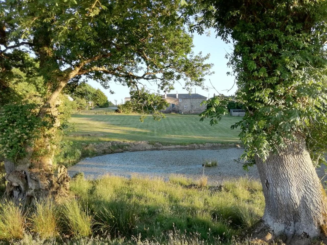 Rectory Farm Bed and Breakfast Haverfordwest Εξωτερικό φωτογραφία